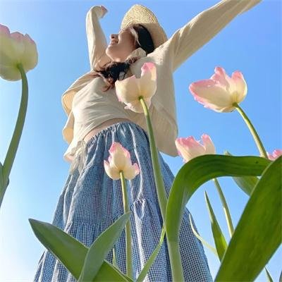 巴赫曼的沙漠之旅